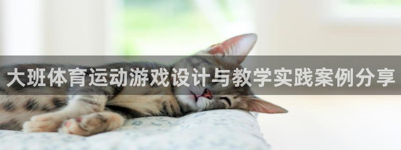 劲球体育直播在线观看高清：大班体育运动游戏设计与教学实践案例分享