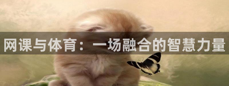 劲球体育app官方下载