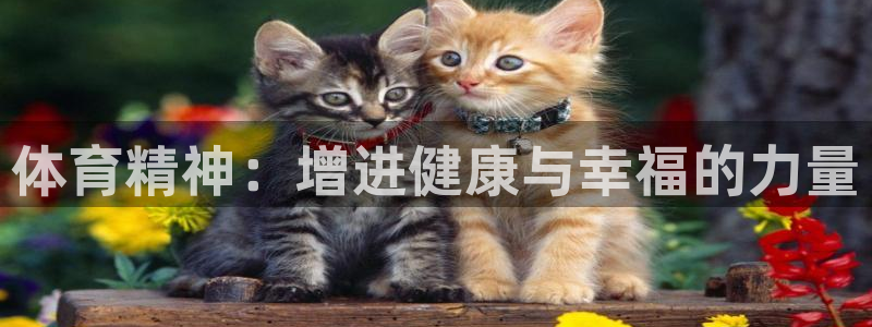 关键词