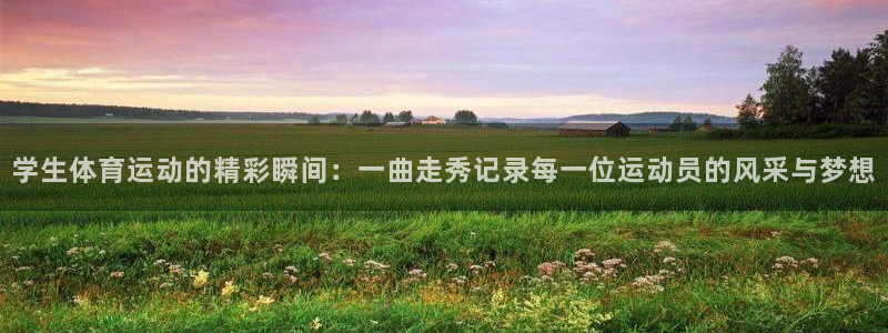 劲球体育视频