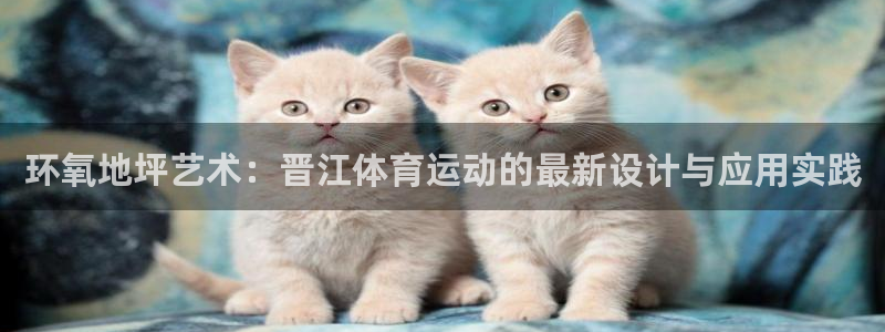 劲球体育app官方入口