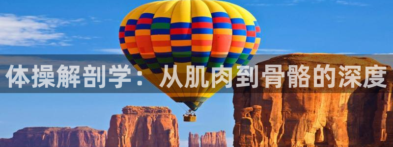 劲球体育app官网入口下载安装