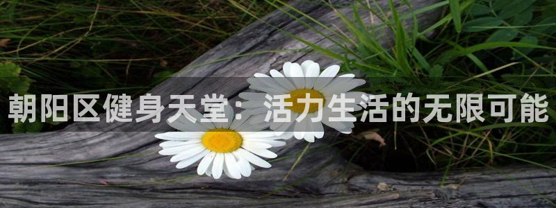 关键词：朝阳区健身天堂：活力生活的无限可能