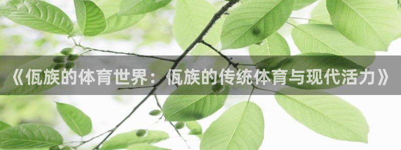劲球体育在线观看：《佤族的体育世界：佤族的传统体育与现代活力》